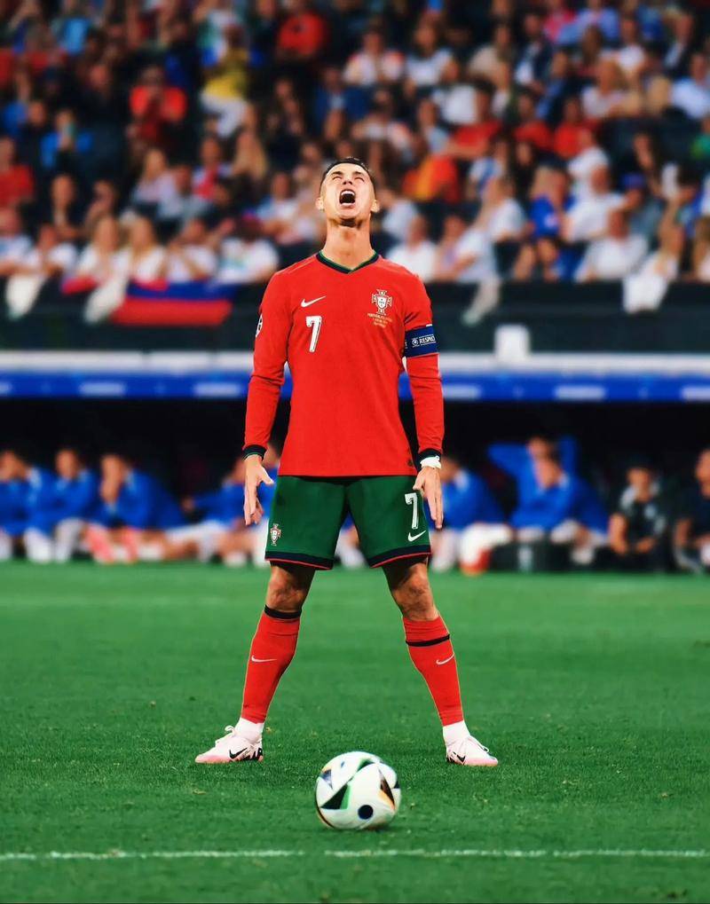 从来都不是 从来都不是